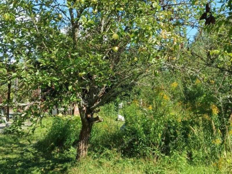 земельный участок 1,4 сотки СНТ СНТ Березка-1