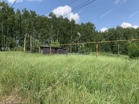 zelenyy-dol-sp-bogorodskiy-municipalnyy-okrug фото