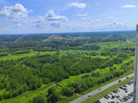 2-komnatnaya-derevnya-ankudinovka-kstovskiy-rayon фото