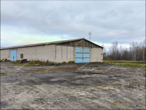 gorod-bogorodsk-bogorodskiy-municipalnyy-okrug фото