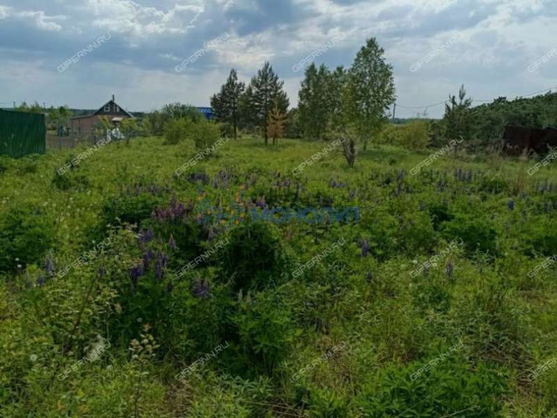 земельный участок под сельхоз назначение в Дивеевском районе Нижегородской области