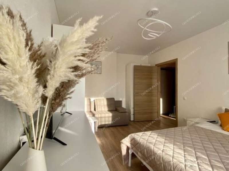 однокомнатная квартира на Ильинской улице дом 168/2