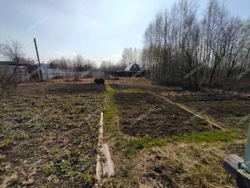 Купить Сад В Нижегородской Области