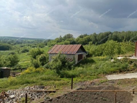 selo-kamenki-bogorodskiy-municipalnyy-okrug фото