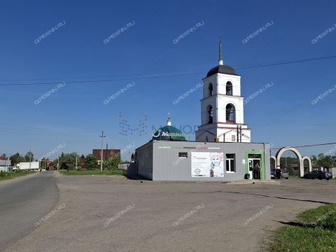 dom-selo-bolshaya-elnya-kstovskiy-rayon фото