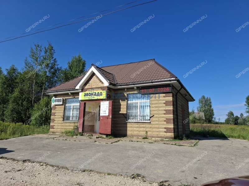 дом на Школьной улице деревня Полом