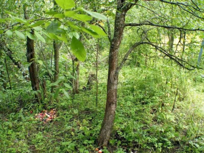 земельный участок 5,7 сотки «Маяк» садовое товарищество