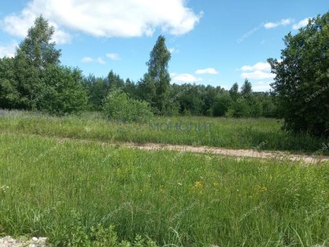 derevnya-burcevo-bogorodskiy-municipalnyy-okrug фото