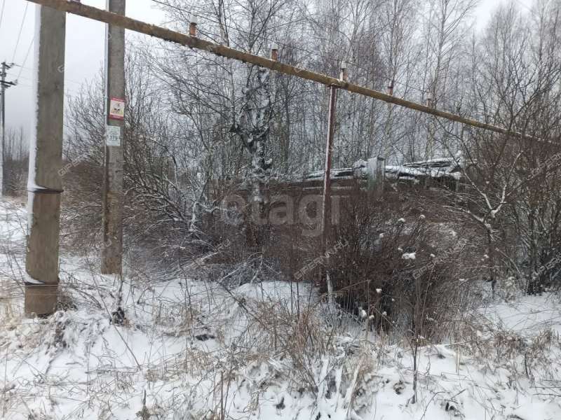 земельный участок 25 соток Центральная улица село Криуша