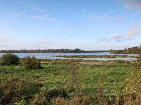 rabochiy-poselok-maloe-kozino-balahninskiy-municipalnyy-okrug фото