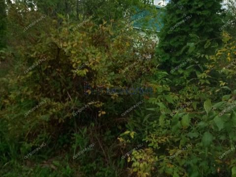 dacha-poselok-novaya-sloboda-bogorodskiy-municipalnyy-okrug фото