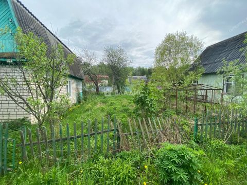 dacha-snt-oblepiha-gorodskoy-okrug-bor фото