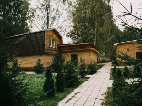 derevnya-rozhnovo-gorodskoy-okrug-bor фото