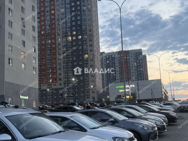 трёхкомнатная квартира на Русской улице улице дом 11 деревня Анкудиновка