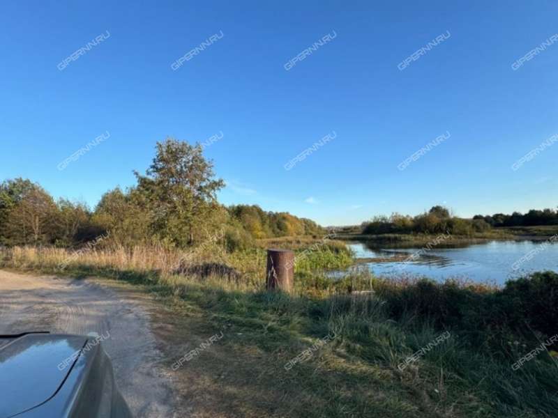 земельный участок 30 соток улица Ленина село Разнежье
