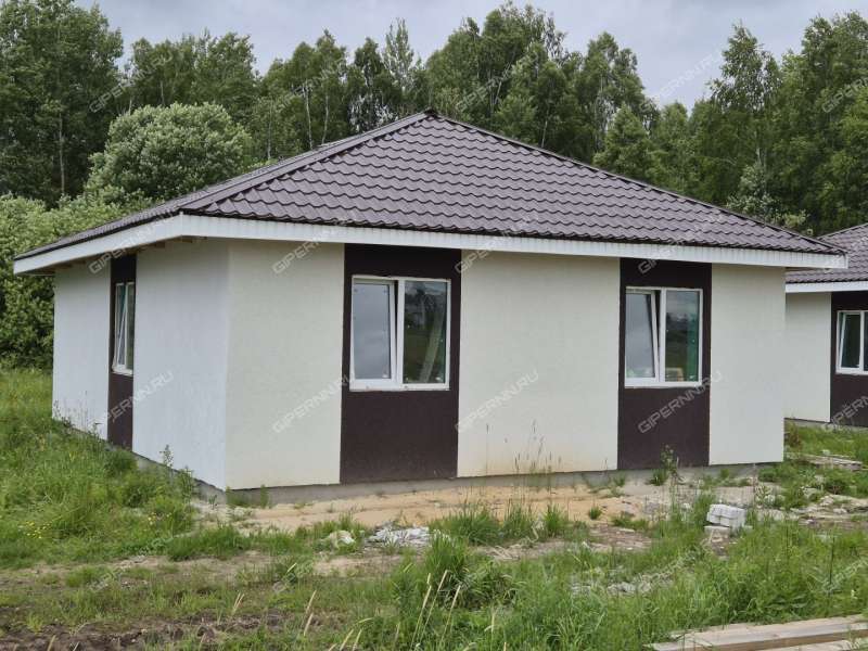 дом на Героя Демина ул. деревня Пруды