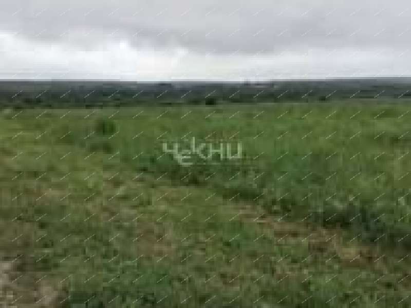 земельный участок 10 соток Полевая село Арманиха