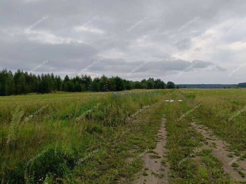 derevnya-timonino-bogorodskiy-municipalnyy-okrug фото