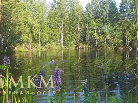 dacha-snt-n8-oao-gaz-gorodskoy-okrug-bor фото