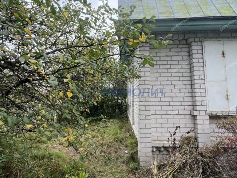 dacha-poselok-okskiy-bogorodskiy-municipalnyy-okrug фото