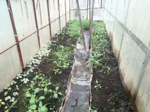 dacha-snt-vodnik-2-gorodskoy-okrug-bor фото