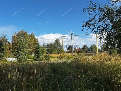 derevnya-vybolovo-bogorodskiy-municipalnyy-okrug фото