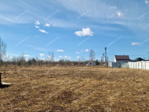 derevnya-krivaya-sheloksha-kstovskiy-rayon фото