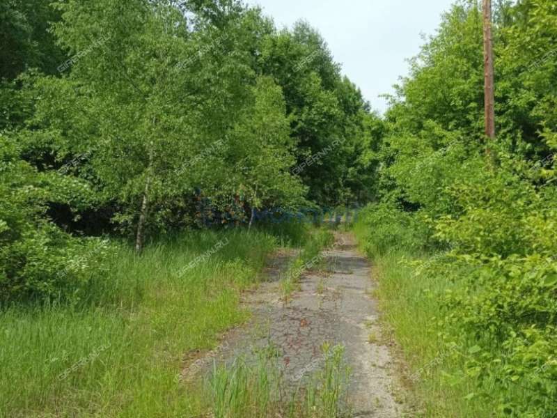имущественный комплекс под производственную площадь на Новой улице село Строчково