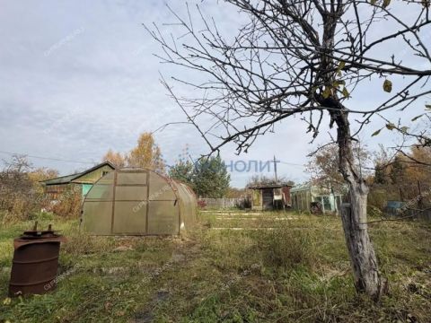 dacha-derevnya-rekshino-gorodskoy-okrug-bor фото