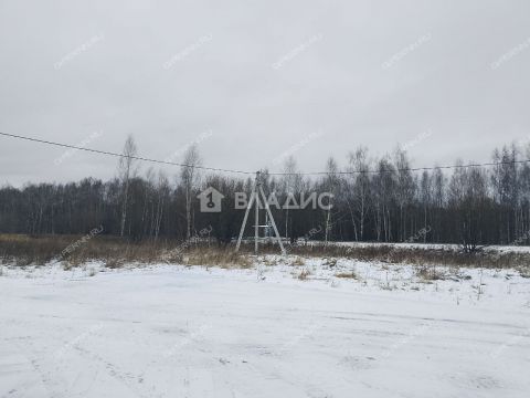 selo-bezvodnoe-kstovskiy-rayon фото