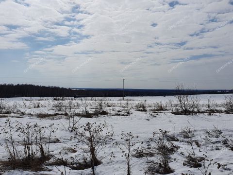 poselok-nizhegorodec-dalnekonstantinovskiy-rayon фото