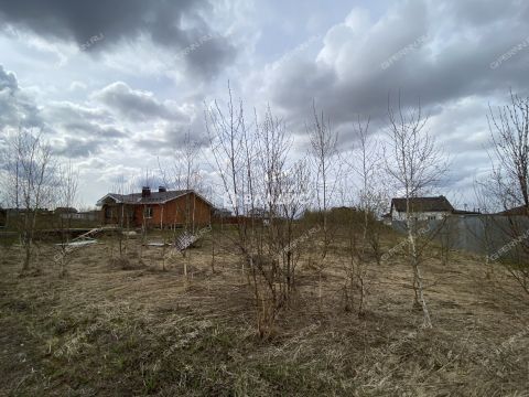selo-kamenki-bogorodskiy-municipalnyy-okrug фото