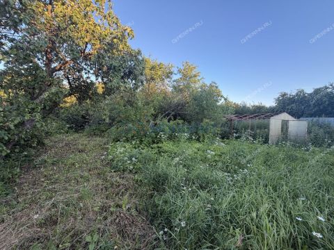 dom-selo-shapkino-bogorodskiy-municipalnyy-okrug фото