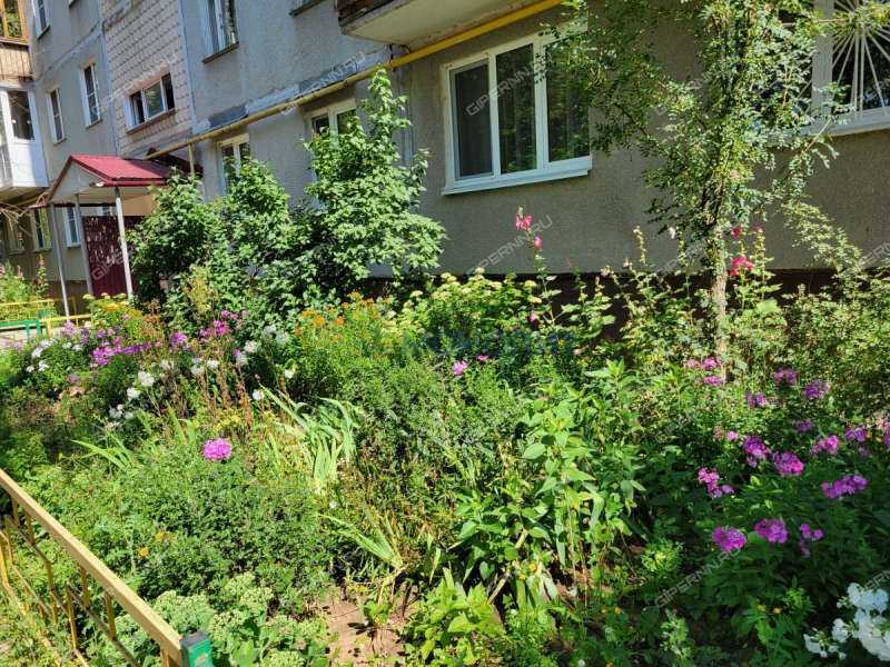 двухкомнатная квартира на проспекте Кораблестроителей дом 24 к2