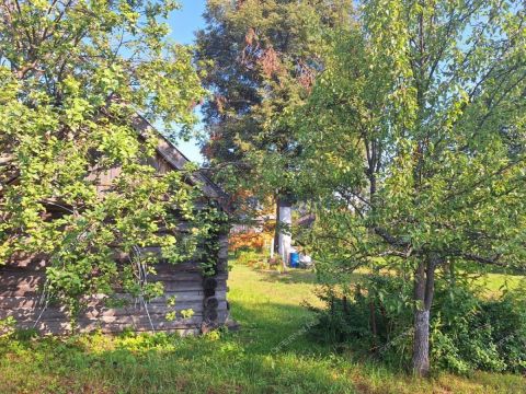 dom-derevnya-maloe-sodomovo-kantaurovskiy-selsovet-gorodskoy-okrug-bor фото