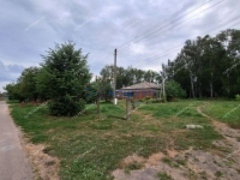 selo-arapovo-bogorodskiy-municipalnyy-okrug фото