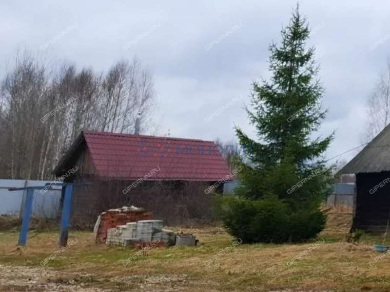 дом на Школьной улице деревня Полом