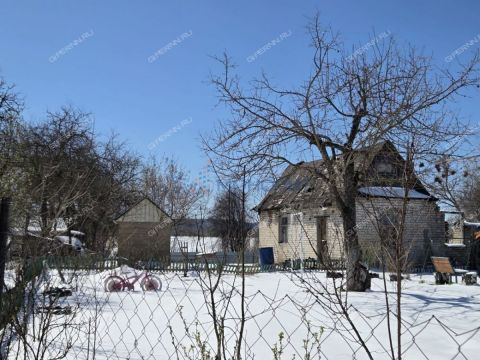 sadovodcheskoe-tovarishhestvo-himmash-1-gorodskoy-okrug-dzerzhinsk фото