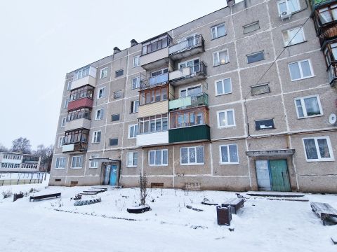 2-komnatnaya-derevnya-podlesovo-kstovskiy-rayon фото