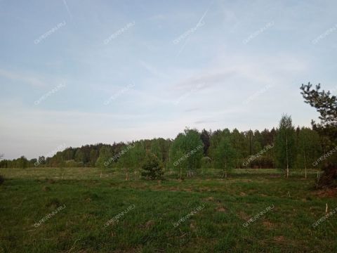 derevnya-nepecino-bogorodskiy-municipalnyy-okrug фото