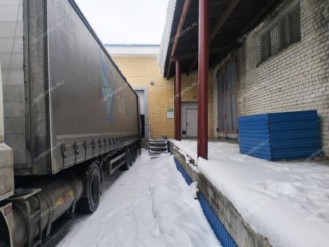 shekspira-ul-d-10a фото