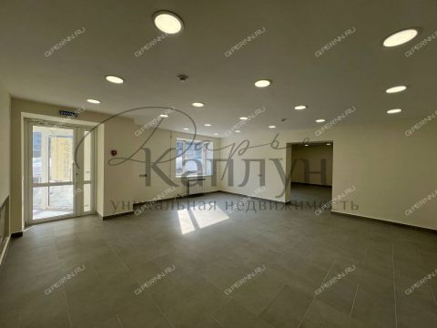 ul-belinskogo-d-110 фото