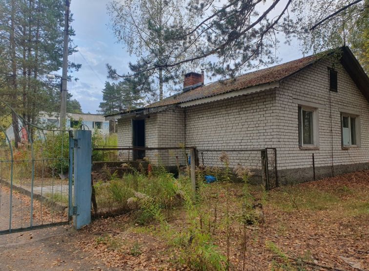 Фото: Ксения Ражева