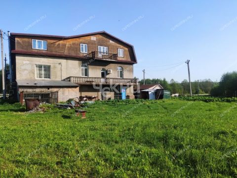 derevnya-maloe-chuhovo-gorodskoy-okrug-chkalovsk фото