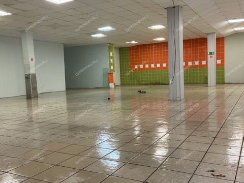 ul-tropinina-d-51 фото