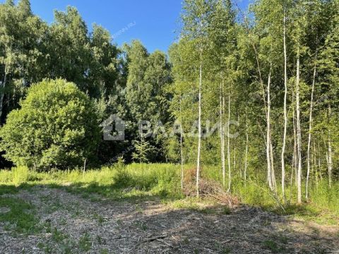 derevnya-inyutino-bogorodskiy-municipalnyy-okrug фото