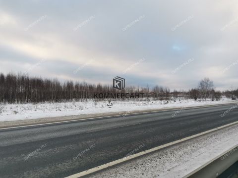 derevnya-burcevo-bogorodskiy-municipalnyy-okrug фото