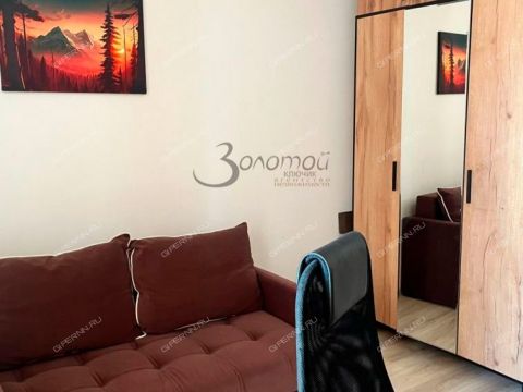 1-komnatnaya-derevnya-ankudinovka-kstovskiy-rayon фото