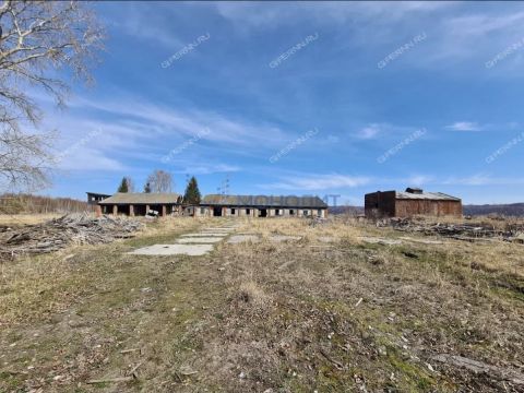 makarevo-sp-lyskovskiy-municipalnyy-okrug фото