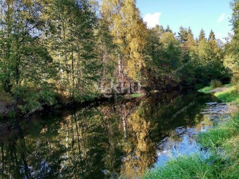 dom-derevnya-zuevo-gorodskoy-okrug-bor фото